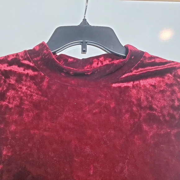 Thyme & Honey Red Velvet Sleeveless Dress 2XL - Picture 4 of 7